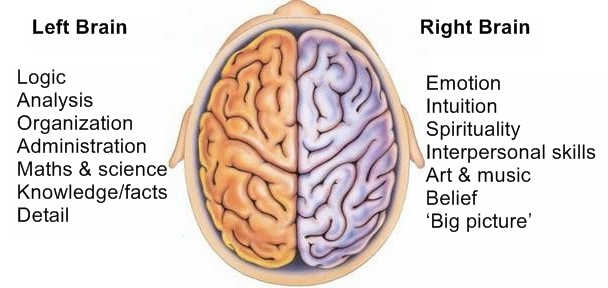left brain right brain